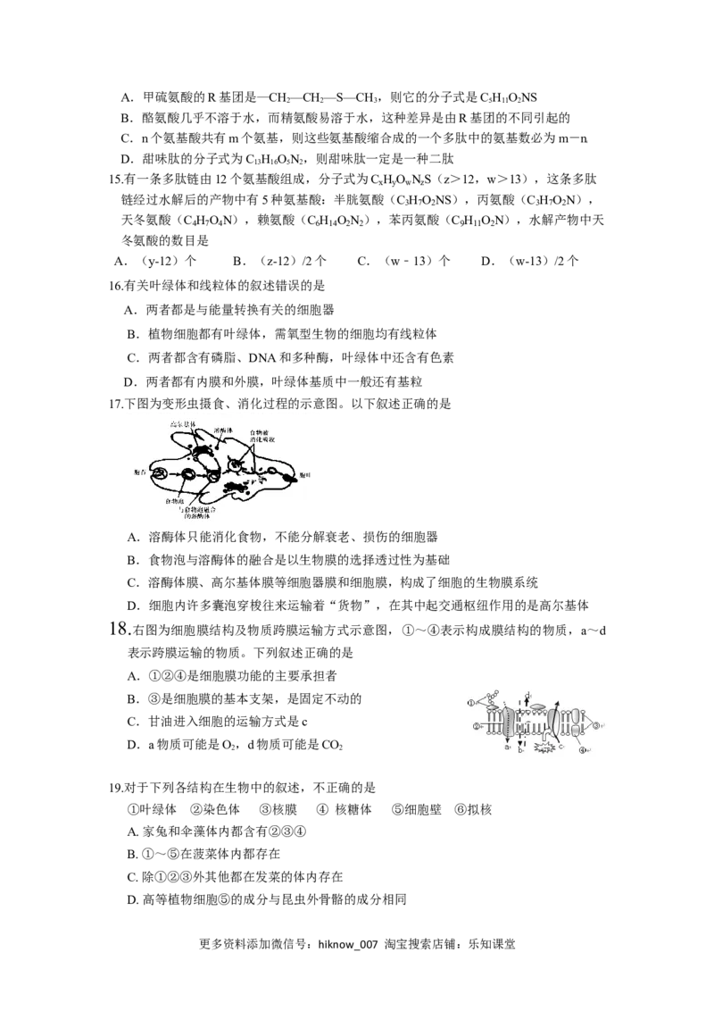 辽宁省实验中学高一上学期期中考试生物试卷_E015高中全科试卷_生物试题_必修1_3.期中测试