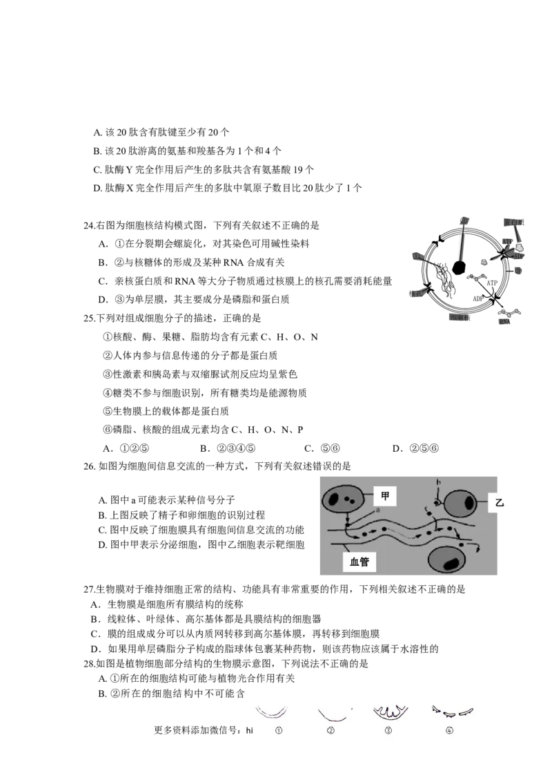 辽宁省实验中学高一上学期期中考试生物试卷_E015高中全科试卷_生物试题_必修1_3.期中测试