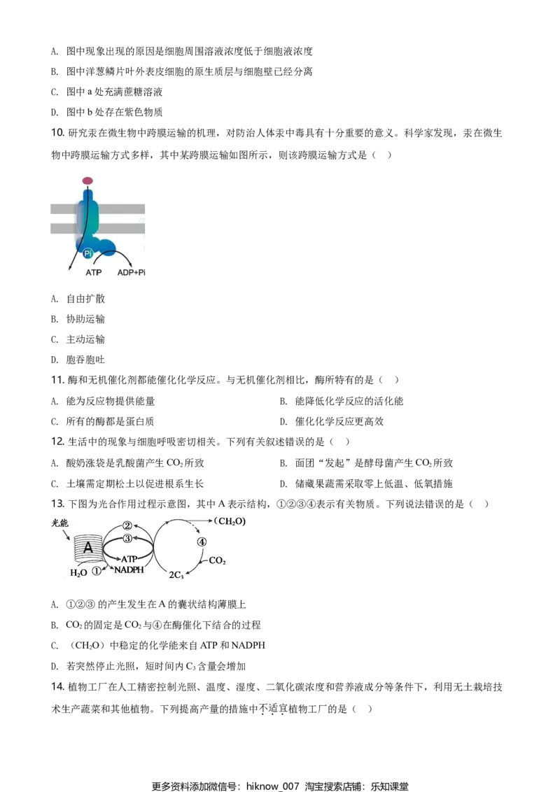 精品解析：北京市朝阳区高一上学期期末质量检测生物试题（原卷版）_E015高中全科试卷_生物试题_必修1_4.期末试卷_2.各地真题_精品解析：北京市朝阳区高一上学期期末质量检测生物试题