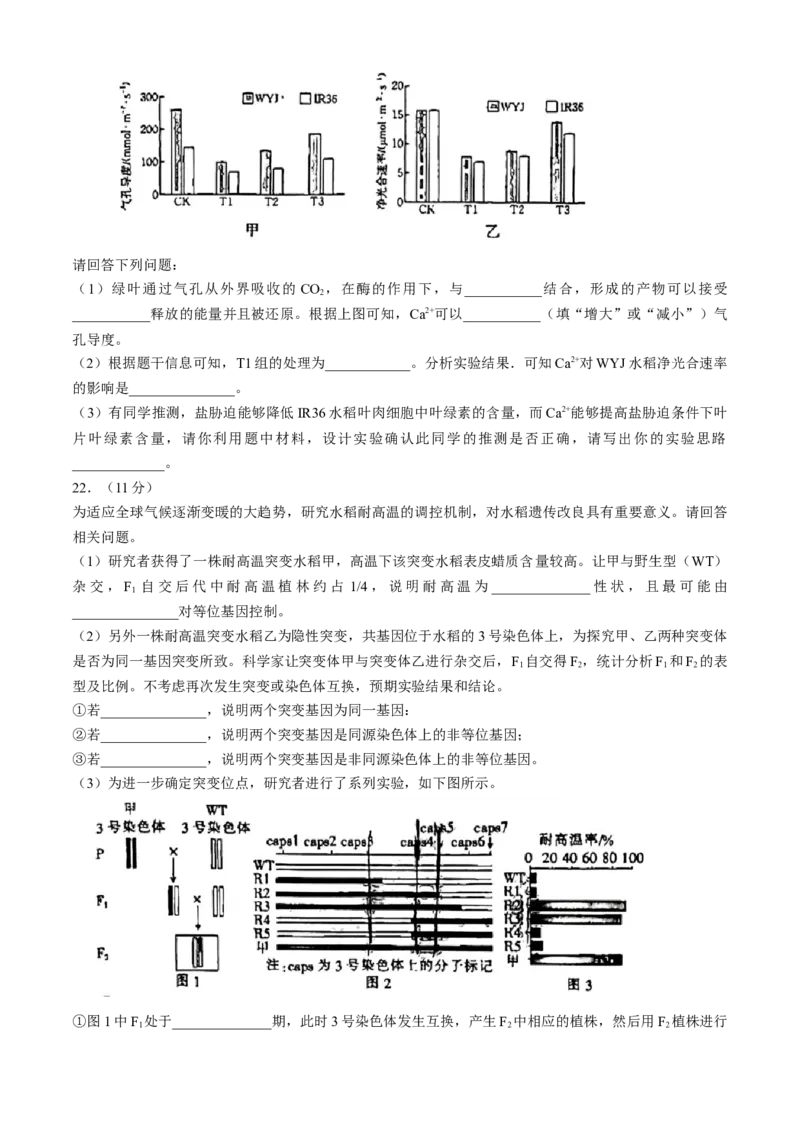 吉林省长春市东北师范大学附属中学2024届高三下学期第五次模拟考试生物试题(1)_2024年5月_025月合集_2024届吉林省长春市东北师范大学附属中学高三下学期第五次模拟考试