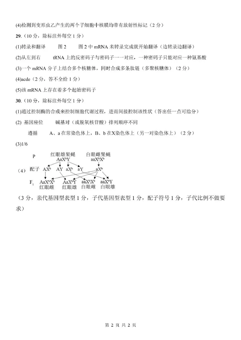 浙江省温州市环大罗山联盟2024-2025学年高一下学期期中考试生物PDF版含答案_2024-2025高一（7-7月题库）_2025年05月试卷_0519浙江省温州市环大罗山联盟2024-2025学年高一下学期期中考试