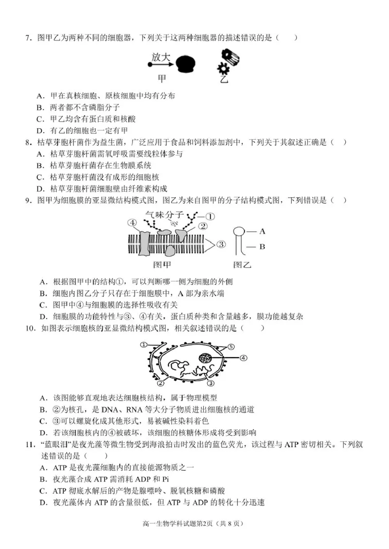 浙江省温州市环大罗山联盟2024-2025学年高一下学期期中考试生物PDF版含答案_2024-2025高一（7-7月题库）_2025年05月试卷_0519浙江省温州市环大罗山联盟2024-2025学年高一下学期期中考试