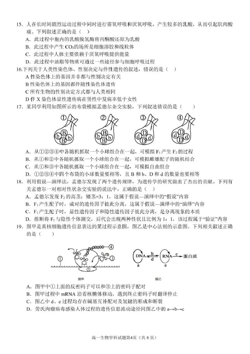 浙江省温州市环大罗山联盟2024-2025学年高一下学期期中考试生物PDF版含答案_2024-2025高一（7-7月题库）_2025年05月试卷_0519浙江省温州市环大罗山联盟2024-2025学年高一下学期期中考试