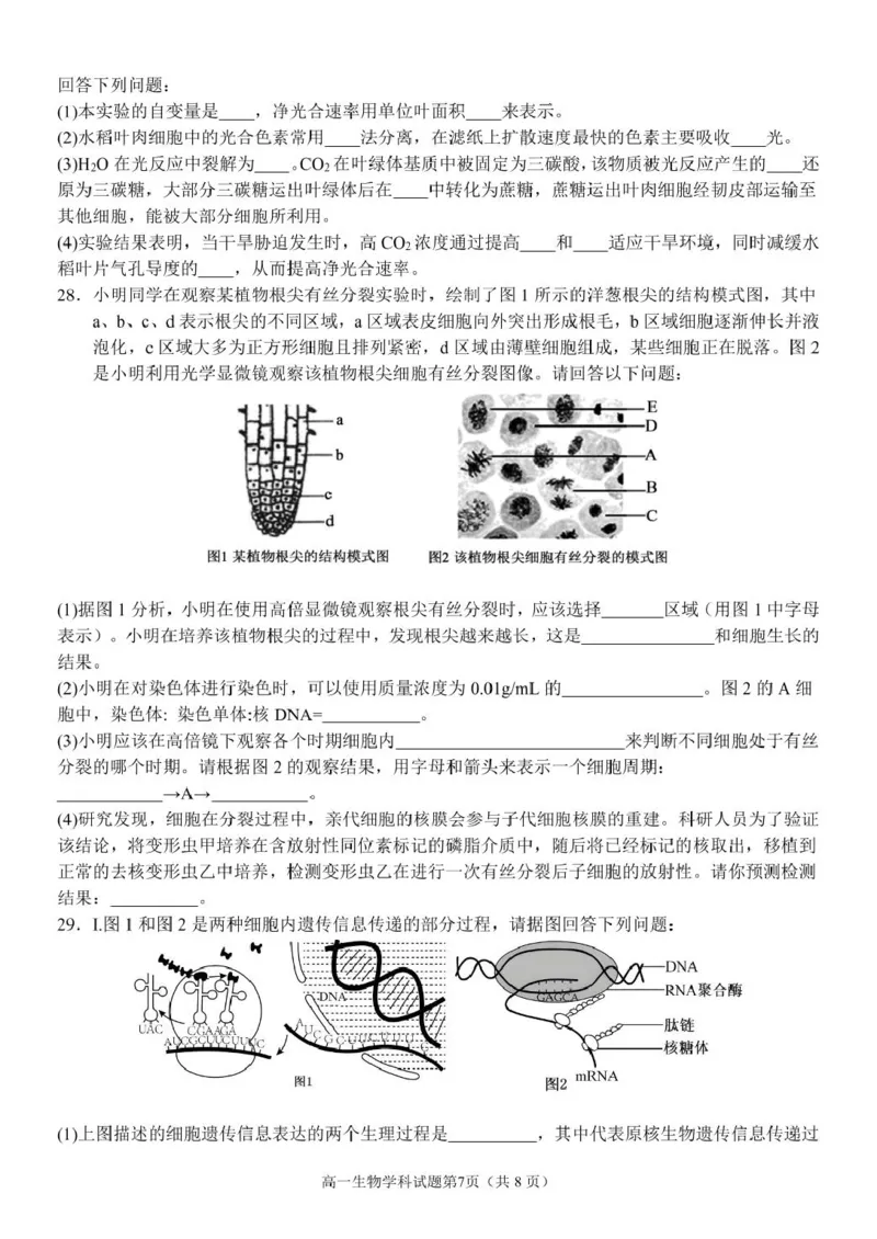 浙江省温州市环大罗山联盟2024-2025学年高一下学期期中考试生物PDF版含答案_2024-2025高一（7-7月题库）_2025年05月试卷_0519浙江省温州市环大罗山联盟2024-2025学年高一下学期期中考试
