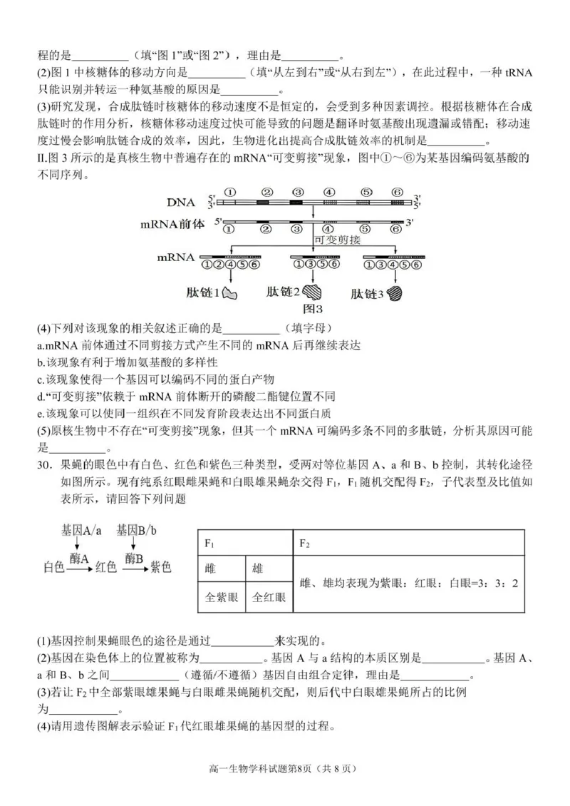 浙江省温州市环大罗山联盟2024-2025学年高一下学期期中考试生物PDF版含答案_2024-2025高一（7-7月题库）_2025年05月试卷_0519浙江省温州市环大罗山联盟2024-2025学年高一下学期期中考试