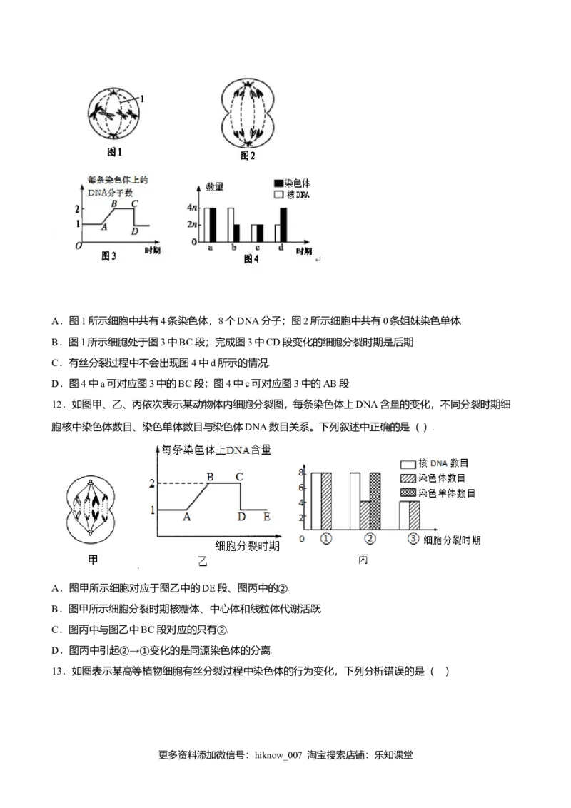 第六章章末测试-高一生物课后培优练（人教版2019必修1）（原卷版）_E015高中全科试卷_生物试题_必修1_1.单元测试_2.单元测试（第二套）