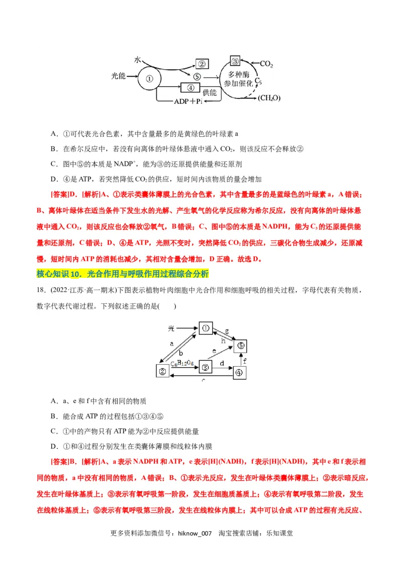 第5章细胞的能量供应和利用（A卷&middot;知识通关练）（解析版）_E015高中全科试卷_生物试题_必修1_1.单元测试_1.单元测试AB卷（第一套）