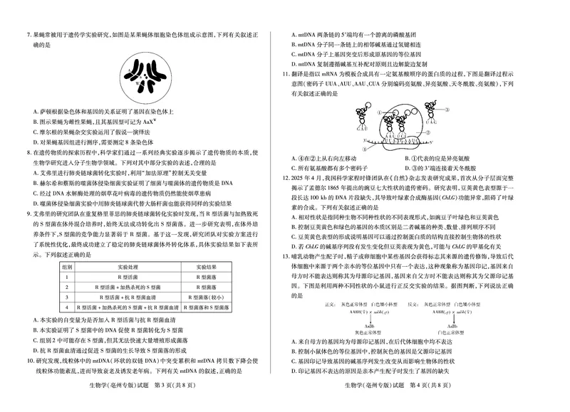 生物学(亳州专版)徽高一7月期末试卷_2024-2025高一（7-7月题库）_2025年7月_250703天一大联考&middot;安徽省2024-2025学年（下）高一年级期末考试
