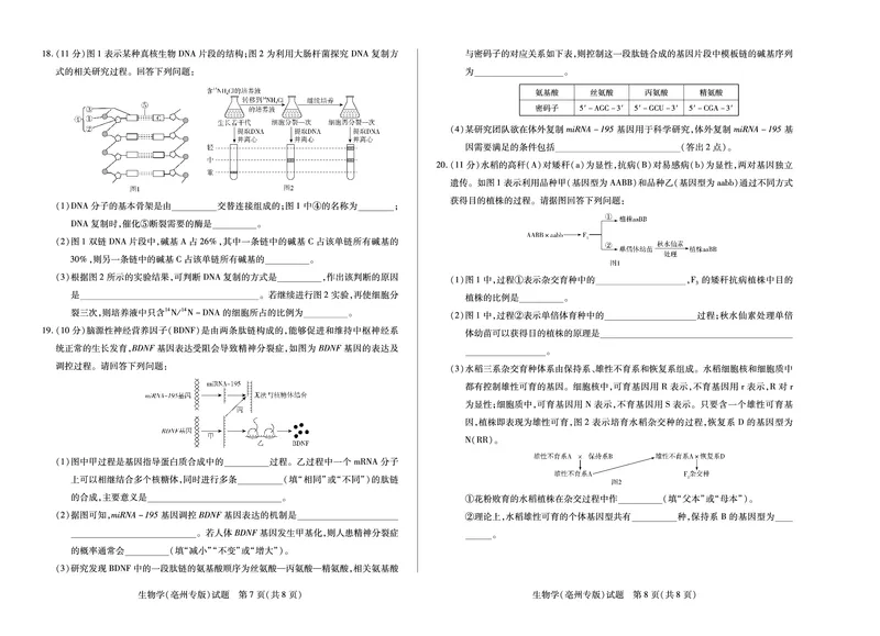 生物学(亳州专版)徽高一7月期末试卷_2024-2025高一（7-7月题库）_2025年7月_250703天一大联考&middot;安徽省2024-2025学年（下）高一年级期末考试