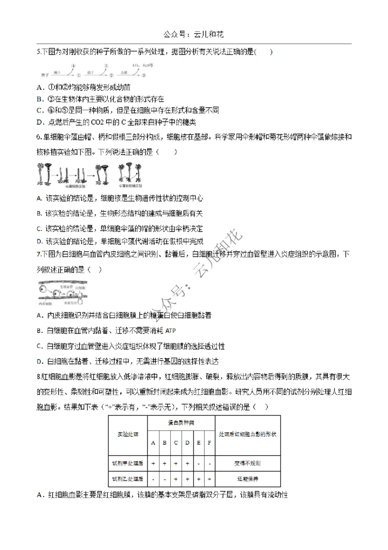 陕西省西安市部分学校2024-2025学年高一上学期12月联考试题生物Word版含答案_2024-2025高一（7-7月题库）_2024年12月试卷_1227陕西省西安市部分学校2024-2025学年高一上学期12月联考