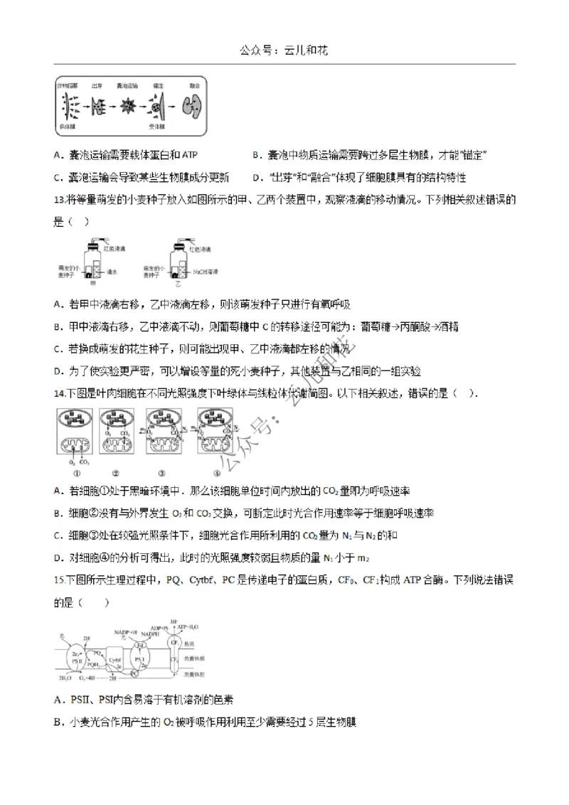 陕西省西安市部分学校2024-2025学年高一上学期12月联考试题生物Word版含答案_2024-2025高一（7-7月题库）_2024年12月试卷_1227陕西省西安市部分学校2024-2025学年高一上学期12月联考