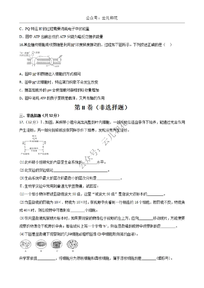 陕西省西安市部分学校2024-2025学年高一上学期12月联考试题生物Word版含答案_2024-2025高一（7-7月题库）_2024年12月试卷_1227陕西省西安市部分学校2024-2025学年高一上学期12月联考