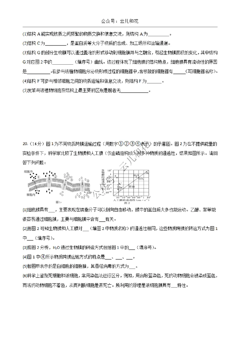 陕西省西安市部分学校2024-2025学年高一上学期12月联考试题生物Word版含答案_2024-2025高一（7-7月题库）_2024年12月试卷_1227陕西省西安市部分学校2024-2025学年高一上学期12月联考