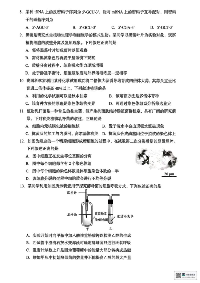 浙江省台州市2024-2025学年高一下学期期末考试生物试题（扫描版，有答案）_2024-2025高一（7-7月题库）_2025年7月_250701浙江台州市2024-2025学年高一下学期6月期末