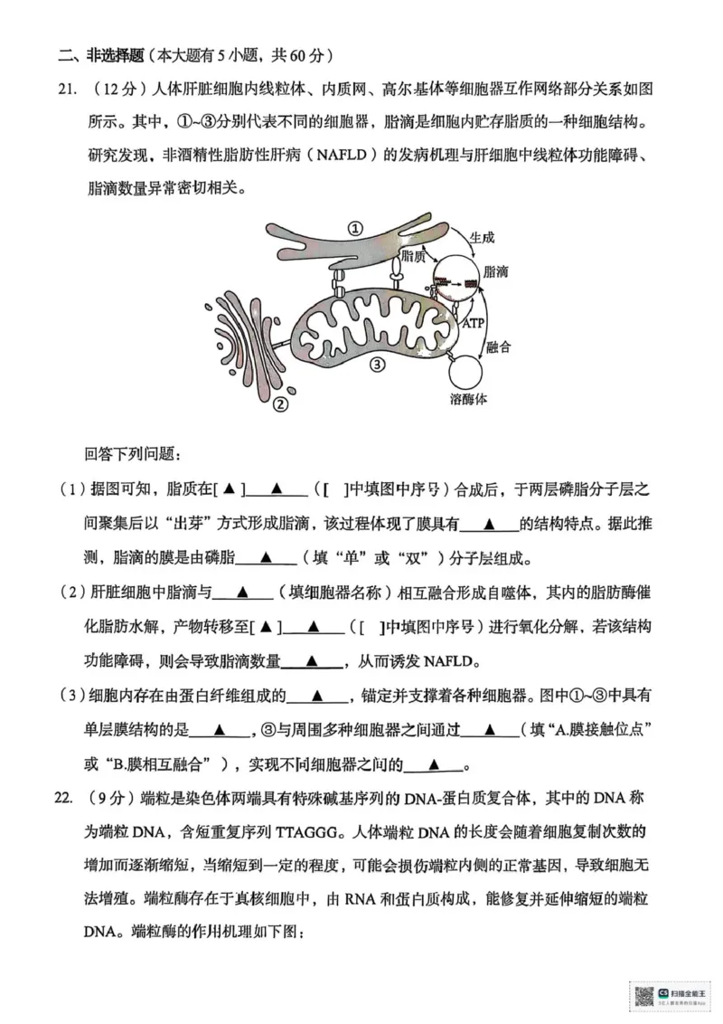 浙江省台州市2024-2025学年高一下学期期末考试生物试题（扫描版，有答案）_2024-2025高一（7-7月题库）_2025年7月_250701浙江台州市2024-2025学年高一下学期6月期末