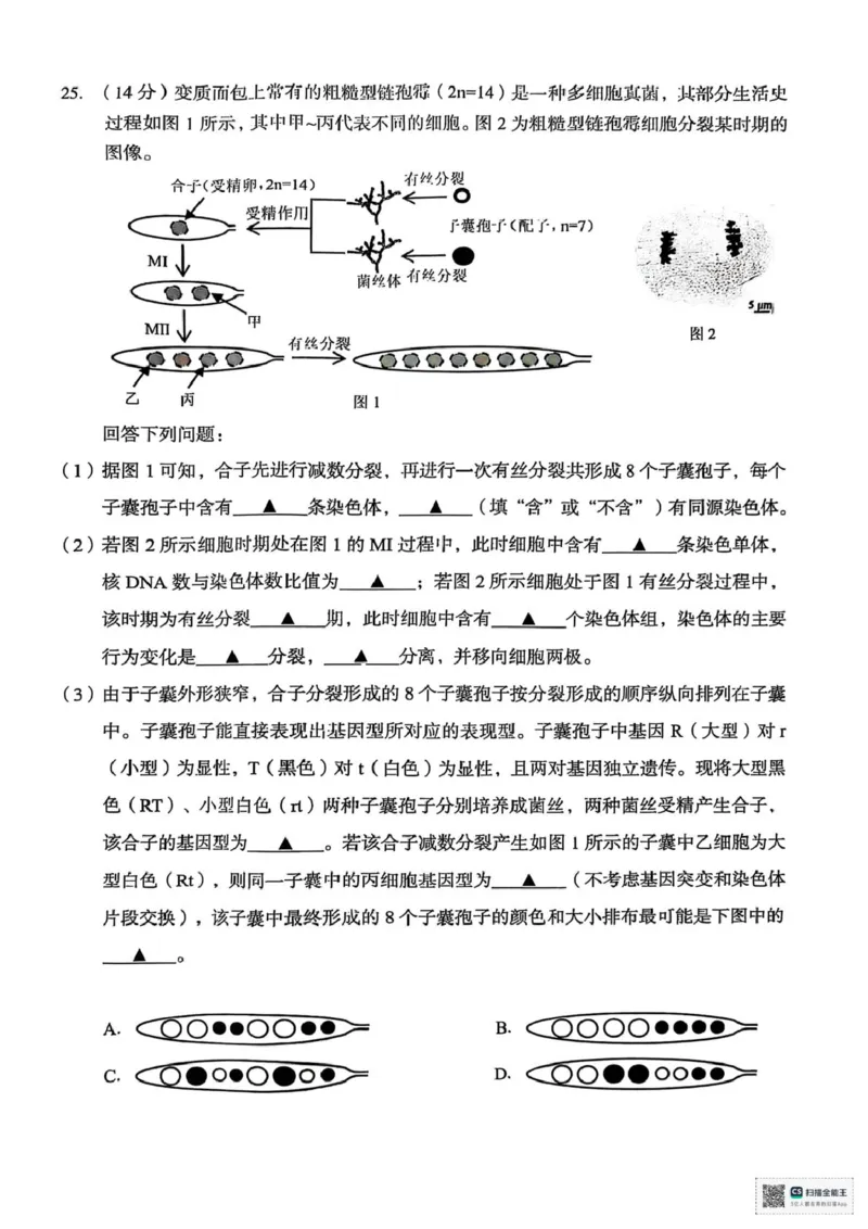 浙江省台州市2024-2025学年高一下学期期末考试生物试题（扫描版，有答案）_2024-2025高一（7-7月题库）_2025年7月_250701浙江台州市2024-2025学年高一下学期6月期末