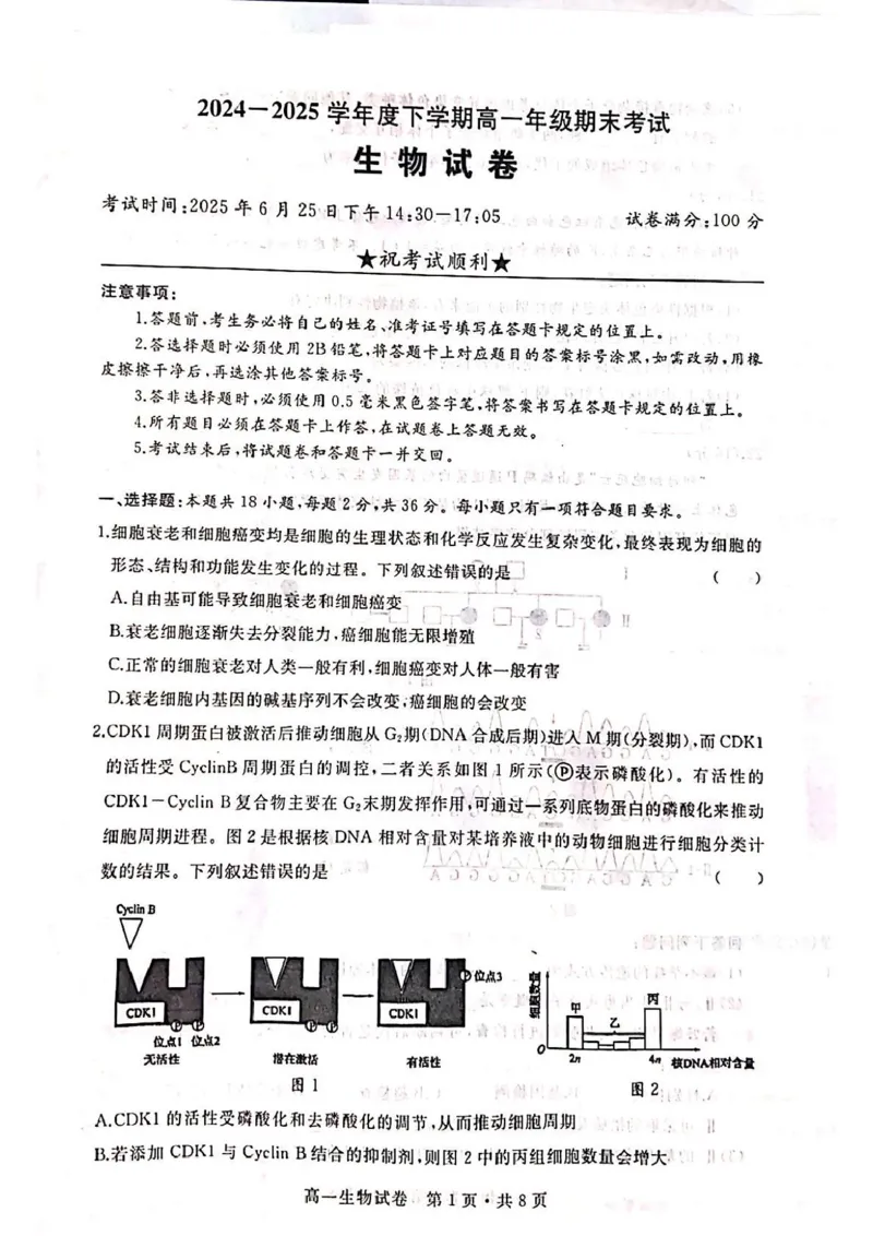 湖北省武汉市五校联合体2024-2025学年高一下学期6月期末考试生物PDF版含答案_2024-2025高一（7-7月题库）_2025年7月_250705湖北省武汉市五校联合体2024-2025学年高一下学期6月期末