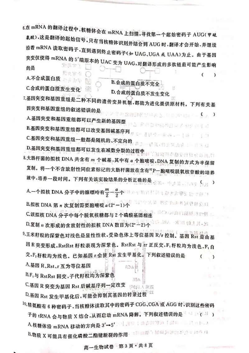 湖北省武汉市五校联合体2024-2025学年高一下学期6月期末考试生物PDF版含答案_2024-2025高一（7-7月题库）_2025年7月_250705湖北省武汉市五校联合体2024-2025学年高一下学期6月期末