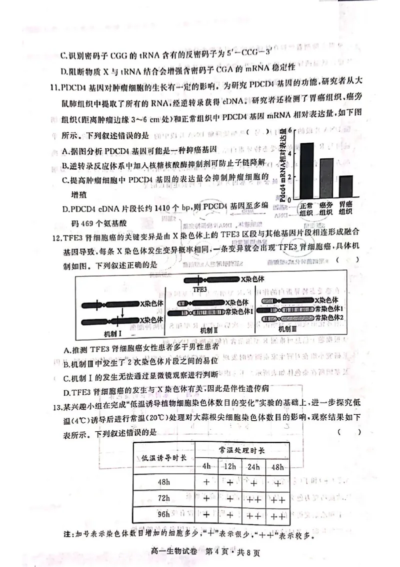 湖北省武汉市五校联合体2024-2025学年高一下学期6月期末考试生物PDF版含答案_2024-2025高一（7-7月题库）_2025年7月_250705湖北省武汉市五校联合体2024-2025学年高一下学期6月期末