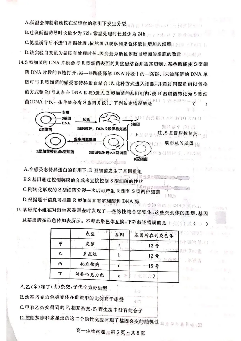 湖北省武汉市五校联合体2024-2025学年高一下学期6月期末考试生物PDF版含答案_2024-2025高一（7-7月题库）_2025年7月_250705湖北省武汉市五校联合体2024-2025学年高一下学期6月期末
