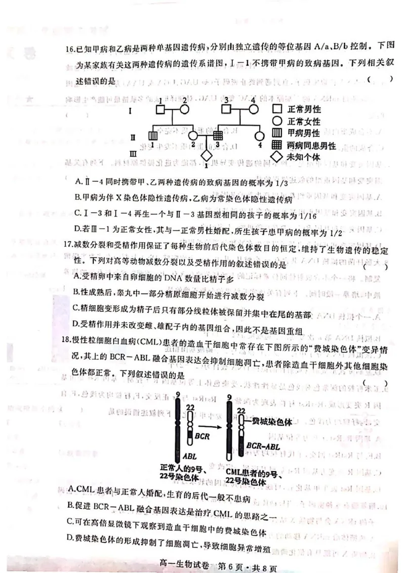 湖北省武汉市五校联合体2024-2025学年高一下学期6月期末考试生物PDF版含答案_2024-2025高一（7-7月题库）_2025年7月_250705湖北省武汉市五校联合体2024-2025学年高一下学期6月期末
