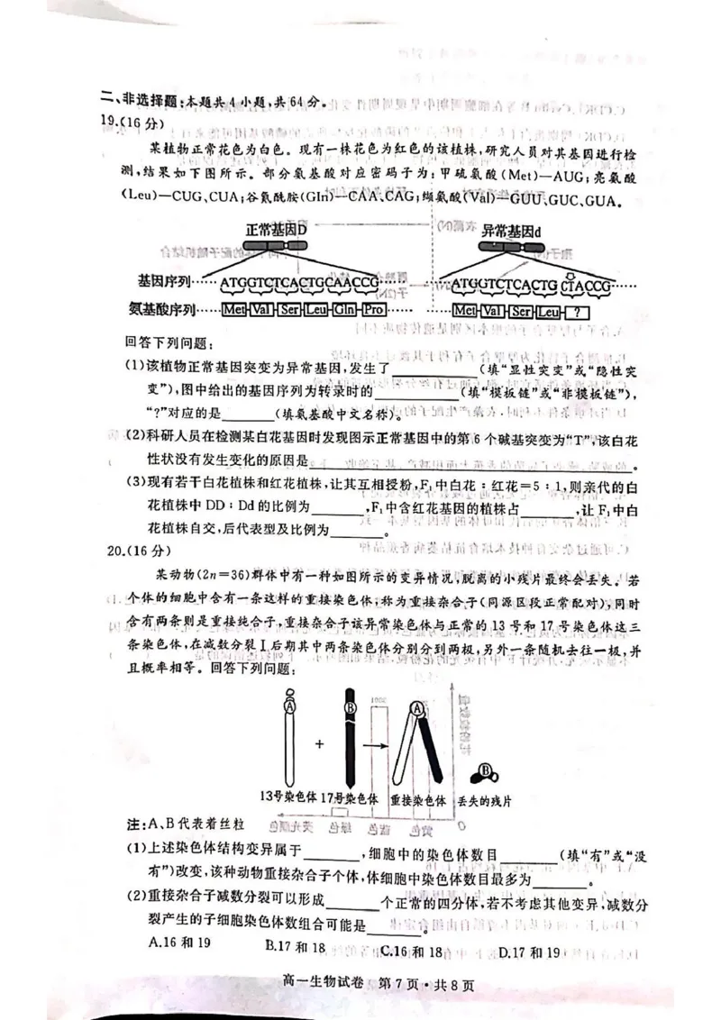 湖北省武汉市五校联合体2024-2025学年高一下学期6月期末考试生物PDF版含答案_2024-2025高一（7-7月题库）_2025年7月_250705湖北省武汉市五校联合体2024-2025学年高一下学期6月期末