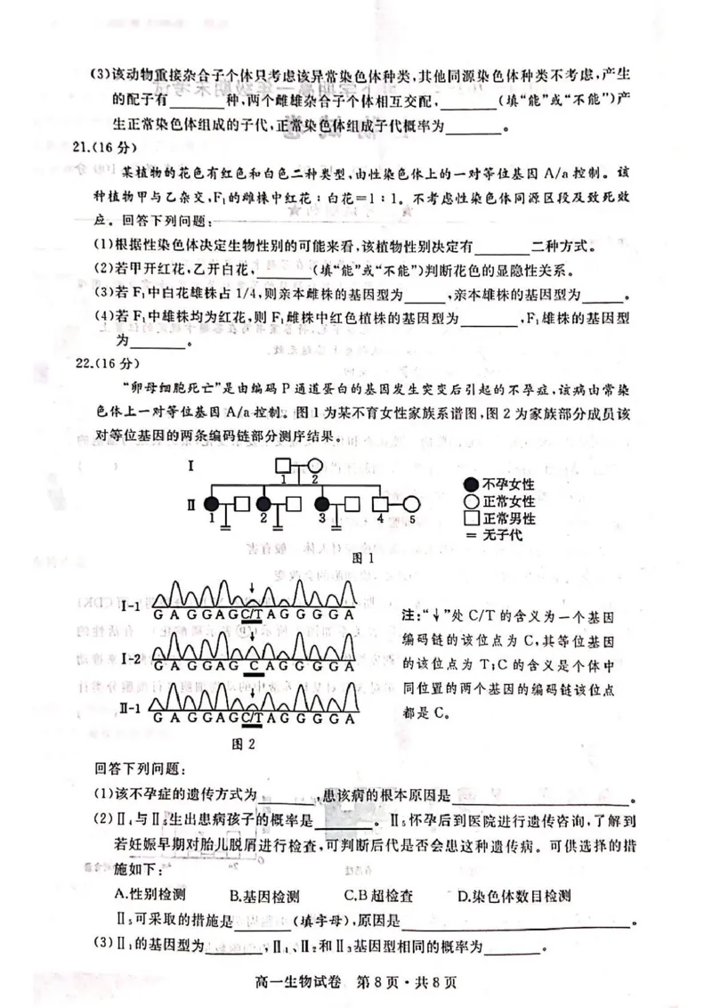 湖北省武汉市五校联合体2024-2025学年高一下学期6月期末考试生物PDF版含答案_2024-2025高一（7-7月题库）_2025年7月_250705湖北省武汉市五校联合体2024-2025学年高一下学期6月期末