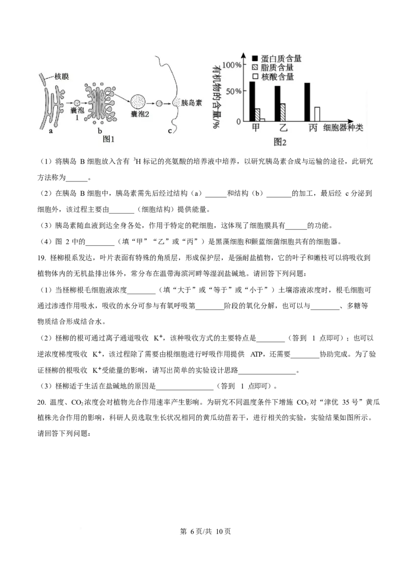 贵州省松桃民族中学2025-2026学年高一上学期期末模拟测试生物试卷（含答案）_2024-2025高一（7-7月题库）_2026年1月高一