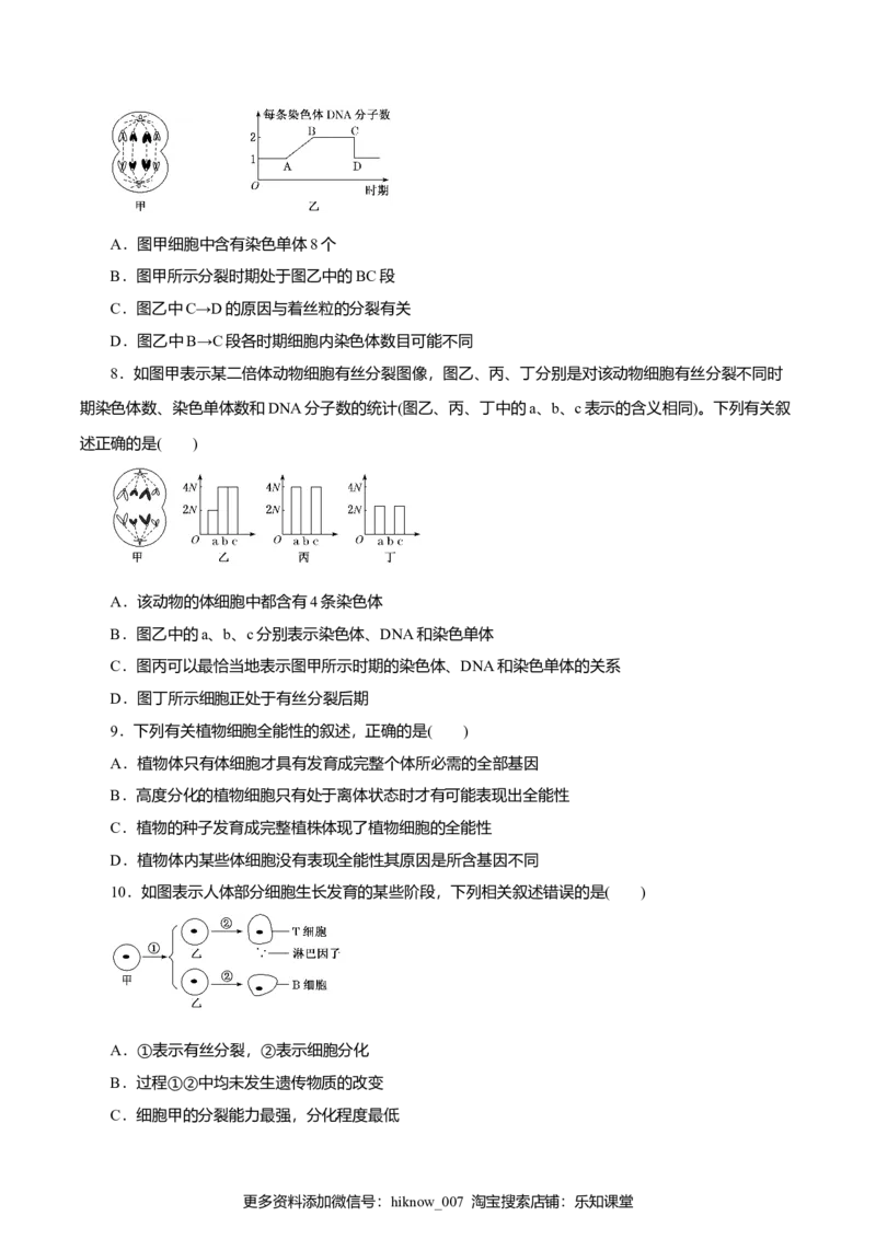 第6章细胞的生命历程B卷（原卷版）_E015高中全科试卷_生物试题_必修1_1.单元测试_3.单元测试（第三套）_第6章细胞的生命历程B卷-高一生物学同步单元AB卷（2019人教版必修1）