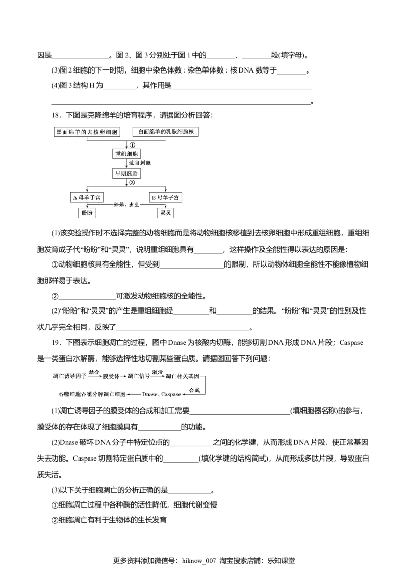 第6章细胞的生命历程B卷（原卷版）_E015高中全科试卷_生物试题_必修1_1.单元测试_3.单元测试（第三套）_第6章细胞的生命历程B卷-高一生物学同步单元AB卷（2019人教版必修1）