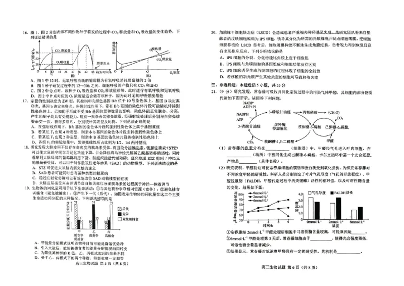 山东省菏泽市2024年高三一模试卷生物_2024年3月_013月合集_2024届山东省菏泽市高三一模考试_山东省菏泽市2024届高三一模考试生物