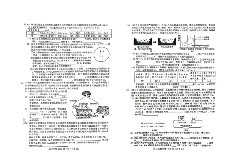 山东省菏泽市2024年高三一模试卷生物_2024年3月_013月合集_2024届山东省菏泽市高三一模考试_山东省菏泽市2024届高三一模考试生物