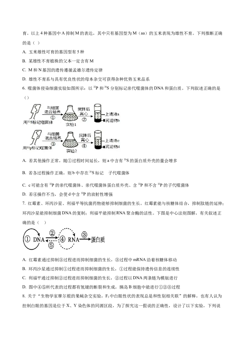 湖北省黄冈市蕲春县第一高级中学2024-2025学年高一下学期5月月考生物试卷（含答案）_2024-2025高一（7-7月题库）_2025年6月7.10新增
