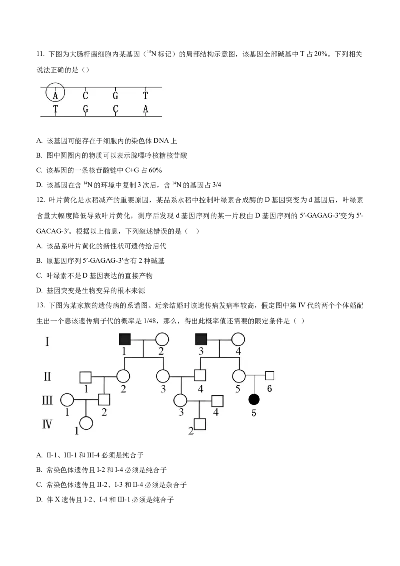 湖北省黄冈市蕲春县第一高级中学2024-2025学年高一下学期5月月考生物试卷（含答案）_2024-2025高一（7-7月题库）_2025年6月7.10新增