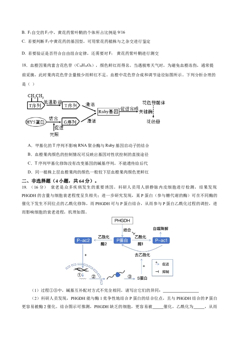 湖北省黄冈市蕲春县第一高级中学2024-2025学年高一下学期5月月考生物试卷（含答案）_2024-2025高一（7-7月题库）_2025年6月7.10新增