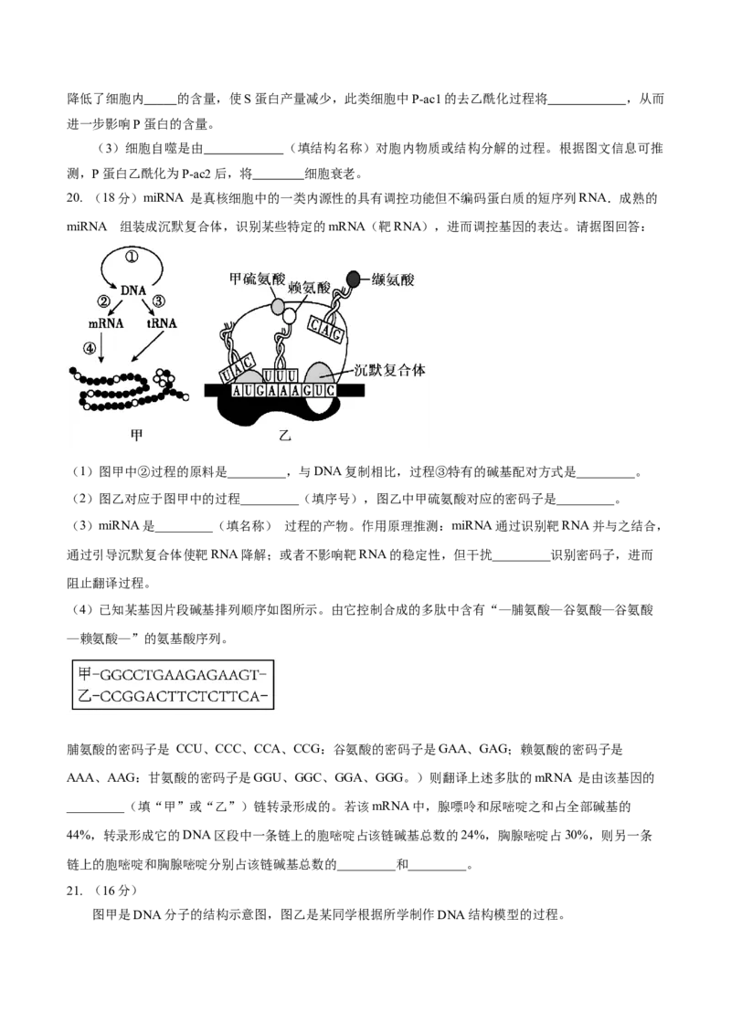 湖北省黄冈市蕲春县第一高级中学2024-2025学年高一下学期5月月考生物试卷（含答案）_2024-2025高一（7-7月题库）_2025年6月7.10新增