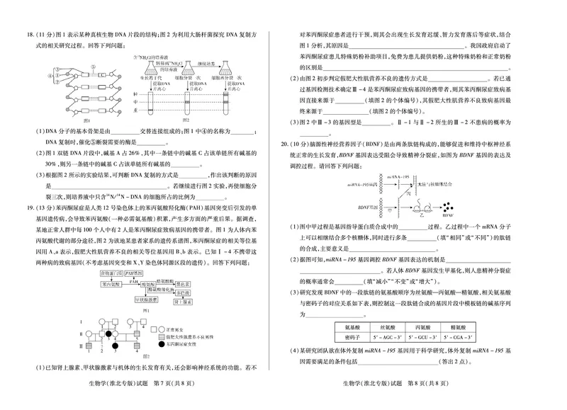 生物学(淮北专版)徽高一7月期末试卷_2024-2025高一（7-7月题库）_2025年7月_250703天一大联考&middot;安徽省2024-2025学年（下）高一年级期末考试