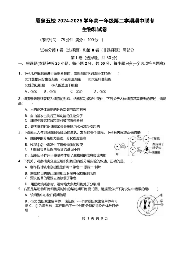 福建省厦泉五校2024-2025学年高一下学期4月期中考试生物Word版含答案_2024-2025高一（7-7月题库）_2025年05月试卷_0517福建省厦泉五校2024-2025学年高一下学期4月期中考试