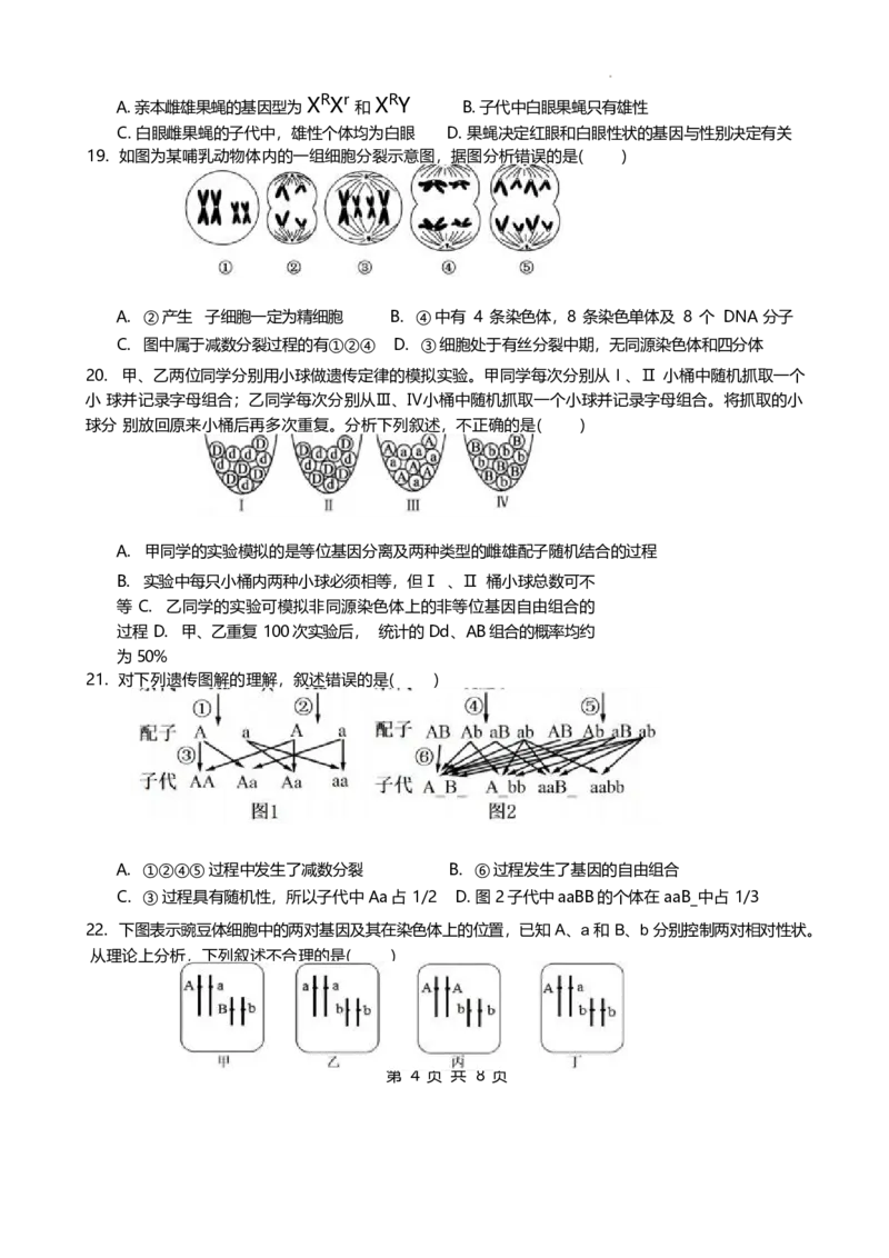福建省厦泉五校2024-2025学年高一下学期4月期中考试生物Word版含答案_2024-2025高一（7-7月题库）_2025年05月试卷_0517福建省厦泉五校2024-2025学年高一下学期4月期中考试