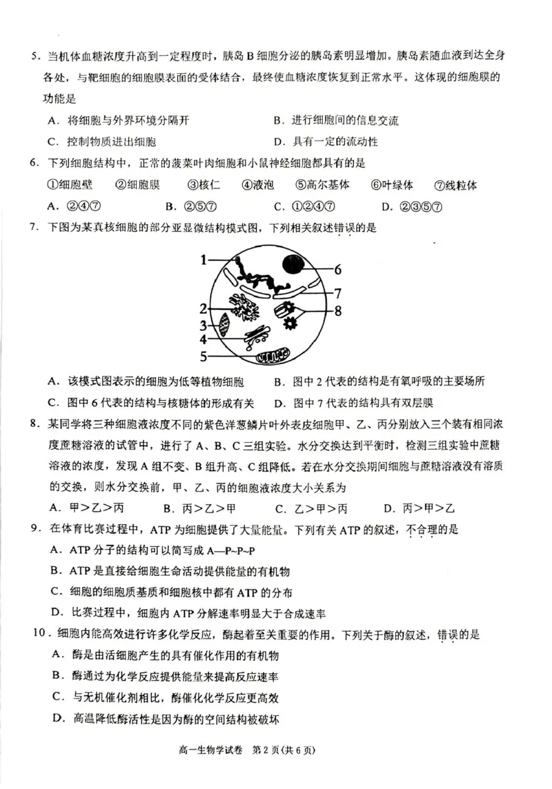 贵州省黔东南苗族侗族自治州2024-2025学年高一上学期1月期末考试生物PDF版无答案_2024-2025高一（7-7月题库）_2025年02月试卷