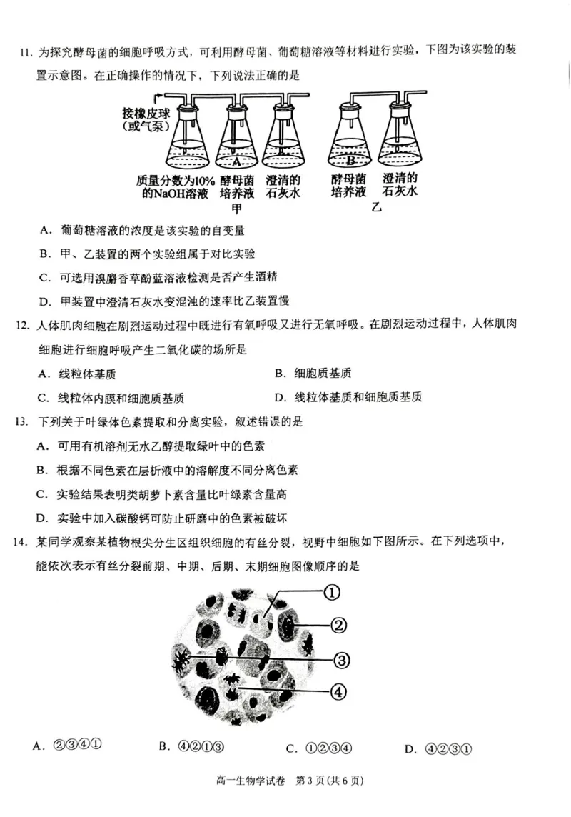 贵州省黔东南苗族侗族自治州2024-2025学年高一上学期1月期末考试生物PDF版无答案_2024-2025高一（7-7月题库）_2025年02月试卷