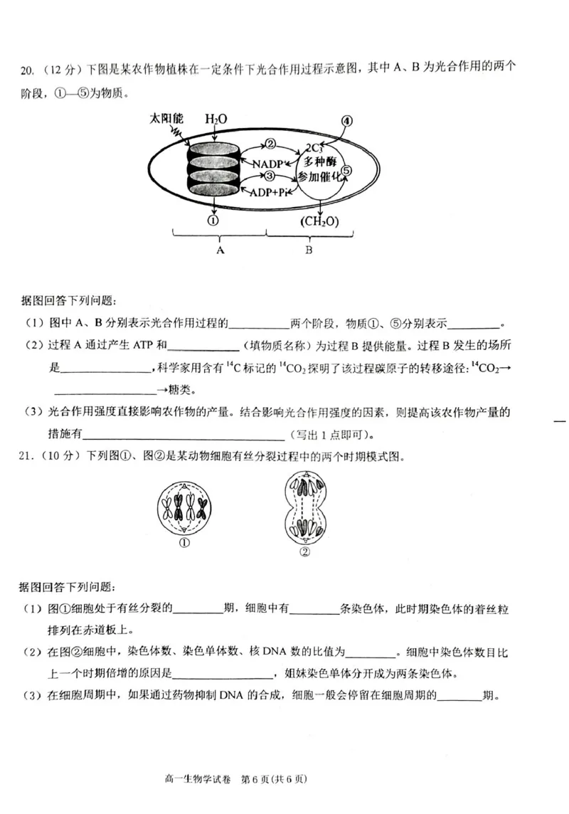 贵州省黔东南苗族侗族自治州2024-2025学年高一上学期1月期末考试生物PDF版无答案_2024-2025高一（7-7月题库）_2025年02月试卷