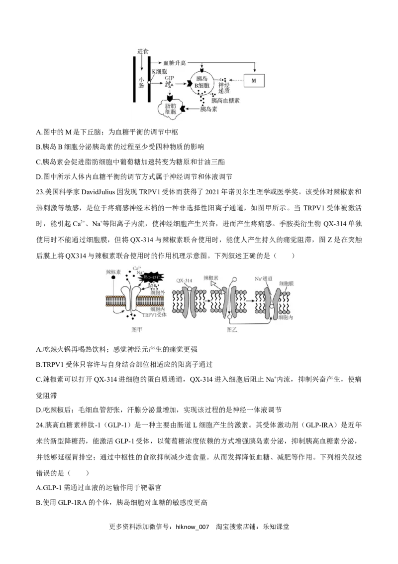 第3章体液调节（测试卷）-2022-2023学年高二生物章末检测卷（人教版2019选择性必修1）（原卷版）_E015高中全科试卷_生物试题_选修1_1.单元测试_1.单元测试2023年