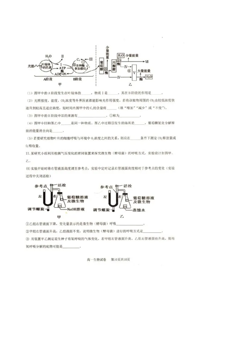 辽宁省抚顺市省重点高中六校协作体2024-2025学年高一上学期期末考试生物PDF版含答案_2024-2025高一（7-7月题库）_2025年01月试卷