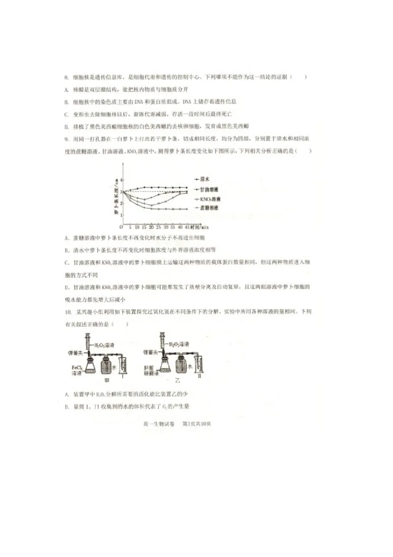 辽宁省抚顺市省重点高中六校协作体2024-2025学年高一上学期期末考试生物PDF版含答案_2024-2025高一（7-7月题库）_2025年01月试卷