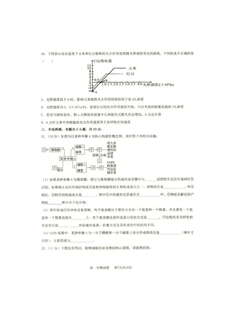 辽宁省抚顺市省重点高中六校协作体2024-2025学年高一上学期期末考试生物PDF版含答案_2024-2025高一（7-7月题库）_2025年01月试卷