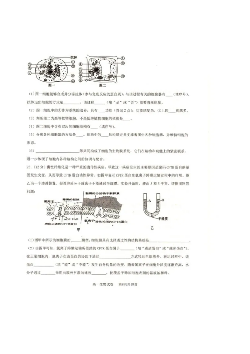 辽宁省抚顺市省重点高中六校协作体2024-2025学年高一上学期期末考试生物PDF版含答案_2024-2025高一（7-7月题库）_2025年01月试卷