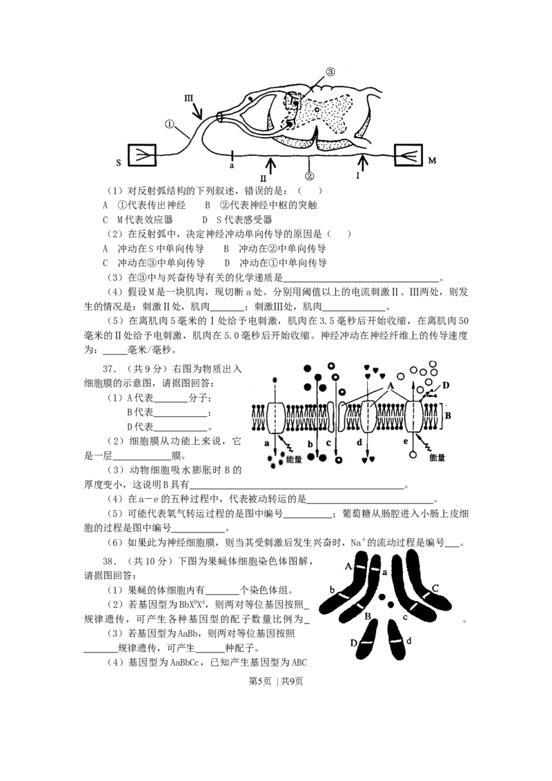 2002年上海高考生物真题及答案_生物高考真题试卷_旧1990-2007&middot;高考生物真题_1990-2007&middot;高考生物真题&middot;word_上海