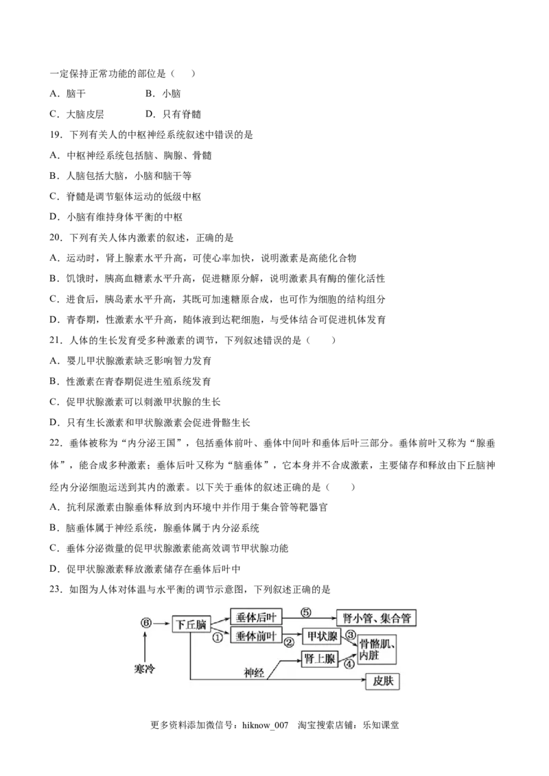 高二生物上学期期中测试卷01（人教版2019选择性必修1）（原卷版）_E015高中全科试卷_生物试题_选修1_3.期中测试_高二生物上学期期中测试卷01（人教版2019选择性必修1）(25207115)