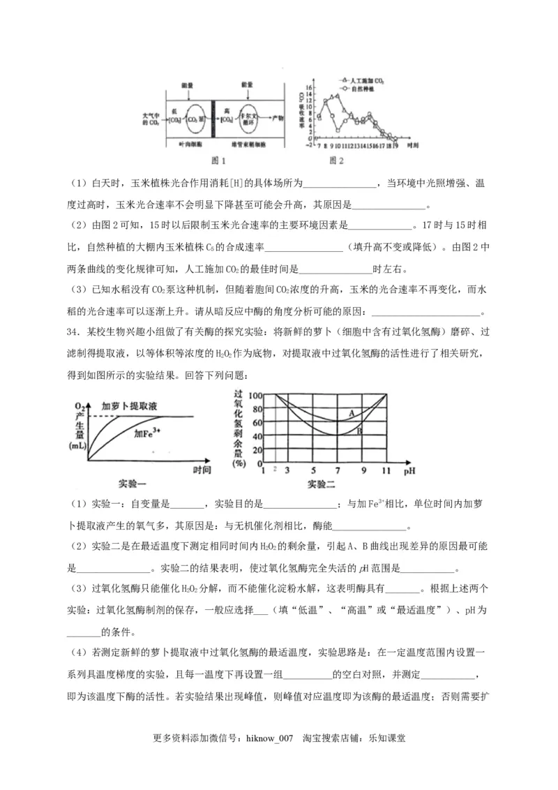 高一生物上学期期末测试卷01（人教版必修1）（原卷版）_E015高中全科试卷_生物试题_必修1_4.期末试卷_1.模拟题_高一生物上学期期末测试卷01（人教版必修1）